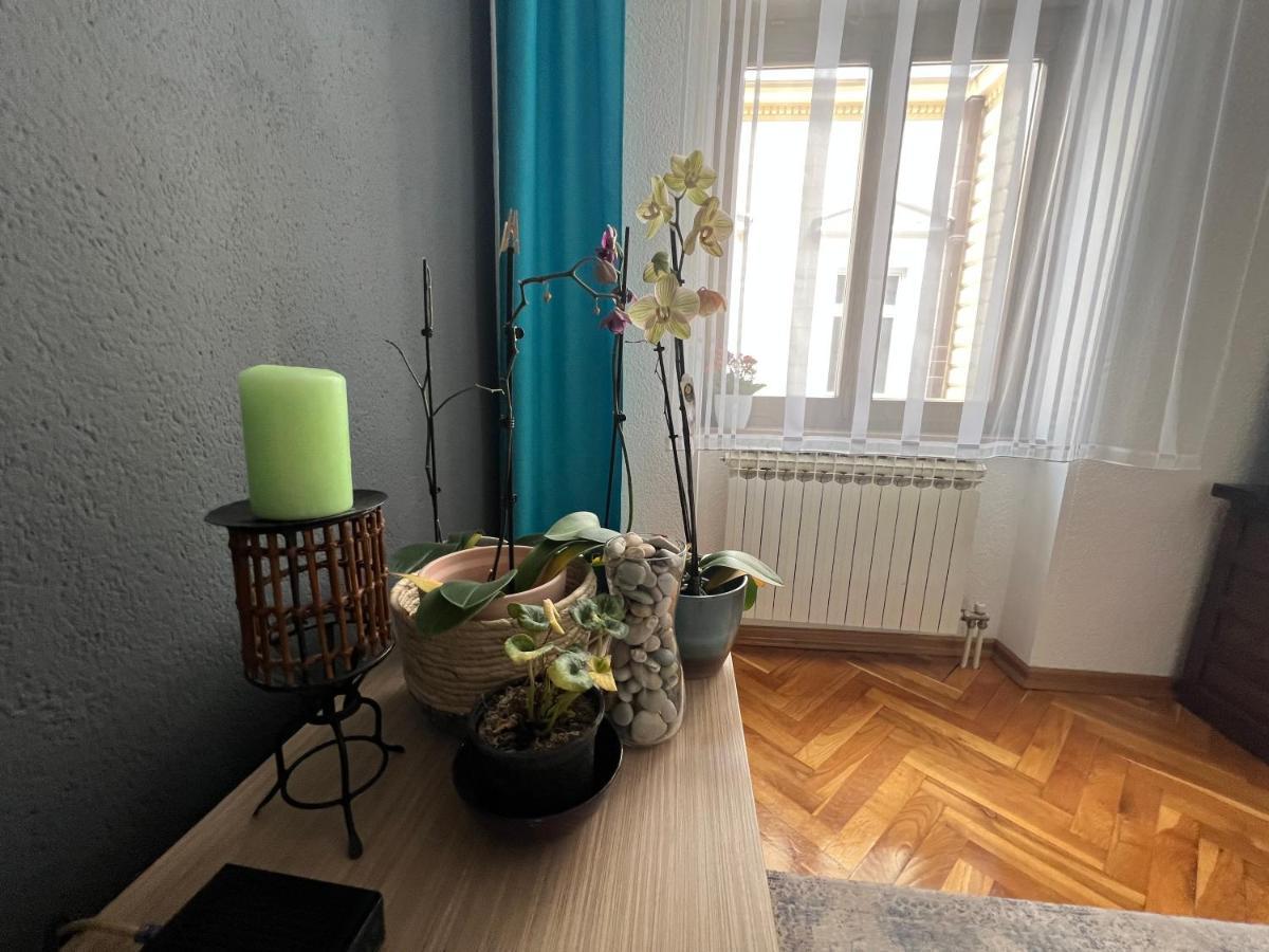 Djana Apartment SJJ Buitenkant foto